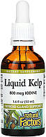 Natural Factors Liquid Kelp 800 mcg 50 мл (4384303837)