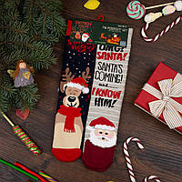 Подарочные Носки с новогодним принтом "Санта + Олень" теплые (2 пары в упаковке, размер 36-41)