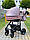 Дитяча коляска 2 в 1 Baby Pram Belinni, фото 3