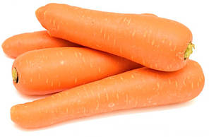 Морква ЛАГУНА F1 Nunhems 100 000 насінин (1,8 - 2,0)