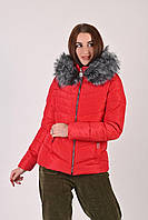 Куртка жіноча червона зимовий код П357 продаж
