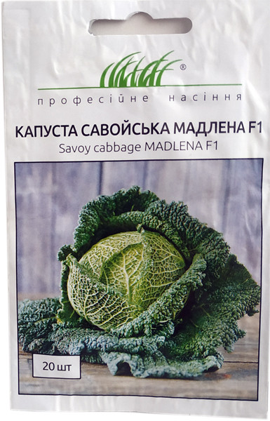 Капуста савойська Мадлена F1 20 шт. Rijk Zwaan, фото 1