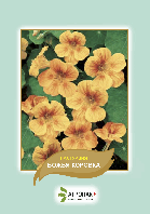 Насіння квітів Настурція Божа коровка Агропак плюс