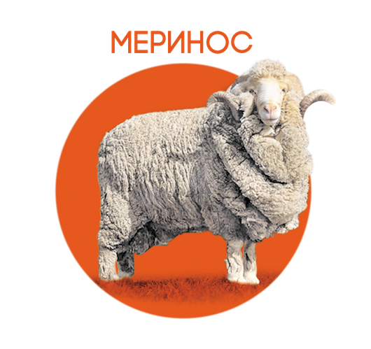 ФЕТР з 100% ВОВНИ (Голландія) вже у продажу!