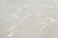 Красиві шпалери вінілові на флізеліновій основі Vinil LS Фокс світло-сіро-перлинні КФП 2-1514 (0.53х10.05м), фото 3