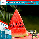 Кавун середньо-пізній МАРАКЕШ F1 / MARAKESH F1, ТМ Ergon Seed (Нідерланди), фото 3