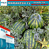Кавун середньо-пізній МАРАКЕШ F1 / MARAKESH F1, ТМ Ergon Seed (Нідерланди), фото 4