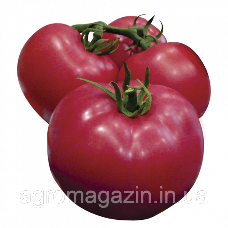 Томат Сім-Cім F1 (100нас.) індетермінантний