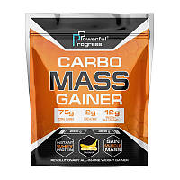 Powerful Progress Carbo Mass Gainer 4 kg