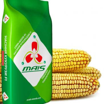 ДМС 4011 ФАО 410 МАЇС Дніпро, насіння кукурудзи на силос, силосна кукурудза, фото 2
