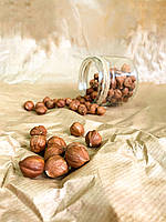 Фундук сушений горіх ( Фундук сушеный, hazelnut ) 500 г .