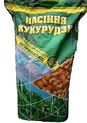 Насіння кукурудзи ДН АКВАЗОР ФАО 320 Югагросервис, жаростійка кукурудза, фото 1