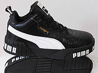 puma 39