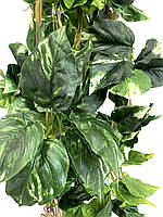 Ліана штучна - диффенбахія (14 метрів упаковка 5 штук ), фото 2