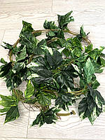 Ліана штучна - диффенбахія (14 метрів упаковка 5 штук ), фото 6