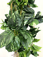 Ліана штучна - диффенбахія (14 метрів упаковка 5 штук ), фото 4