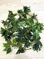 Ліана штучна - диффенбахія (14 метрів упаковка 5 штук ), фото 5