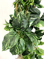 Ліана штучна - диффенбахія (14 метрів упаковка 5 штук ), фото 3