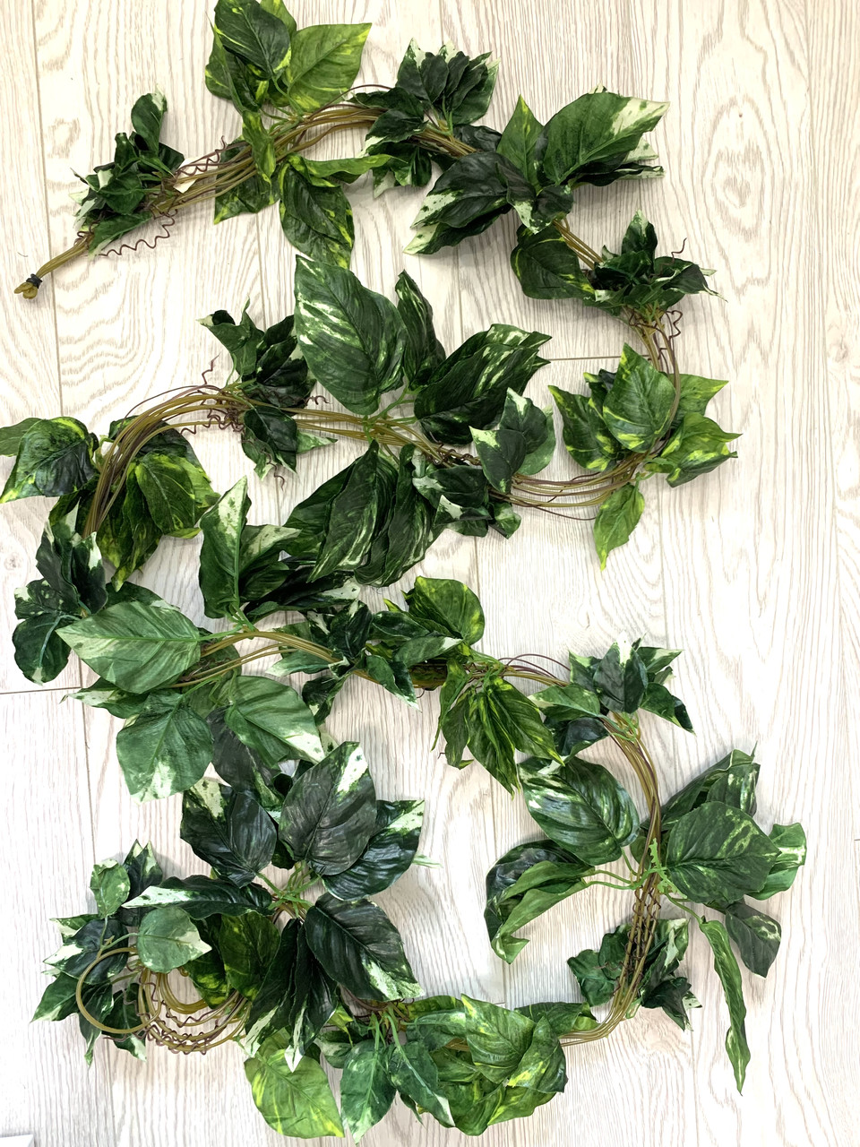 Ліана штучна - диффенбахія (14 метрів упаковка 5 штук ), фото 1