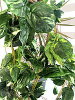 Ліана штучна - диффенбахія (14 метрів упаковка 5 штук ), фото 7