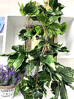 Ліана штучна - диффенбахія (14 метрів упаковка 5 штук ), фото 8