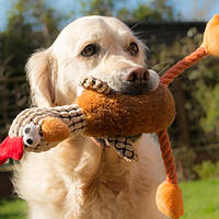 Товари для домашніх тварин і птахів