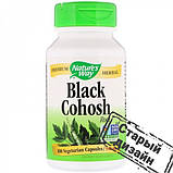 Клопогон Циміцифуга (Black Cohosh Root) 540 мг, фото 3