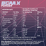 Комплекс амінокислот BCAA (BCAA X Powder) з різними смаками, фото 2