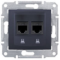 Sedna розетка двойная компьютерная RJ45 UTP Cat.5e графит Schneider Electric, SDN4400170