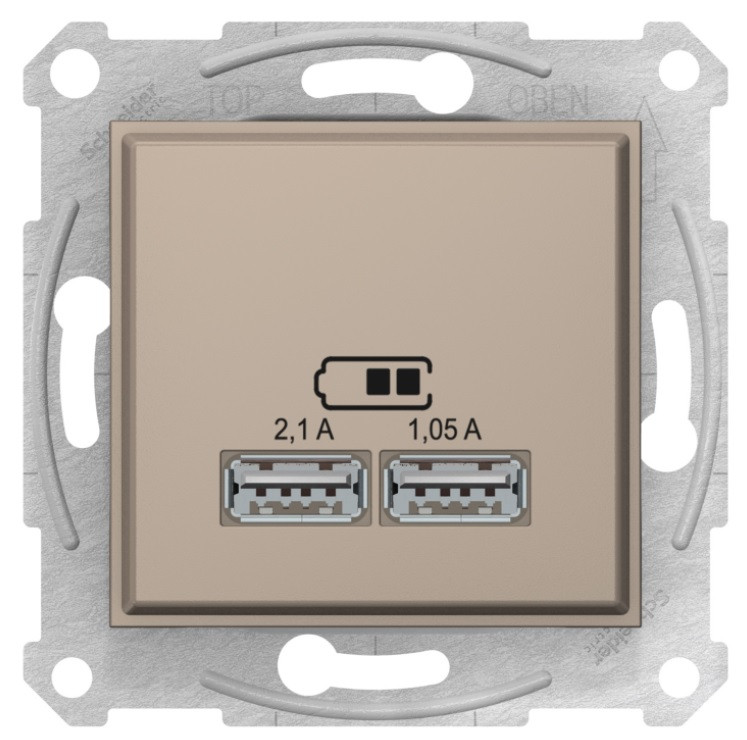 Sedna USB розетка подвійна титан Schneider Electric, SDN2710268, фото 1