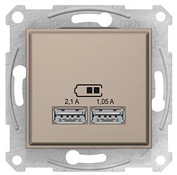 Sedna USB розетка подвійна титан Schneider Electric, SDN2710268