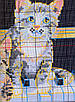 Набір для вишивання за нанесеною на канву схемою "Three cats". AIDA 14CT printed 34*26 см, фото 5