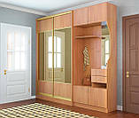 Шафа-купе 2-х2. 900х600х2400, Київський Стандарт, фото 6