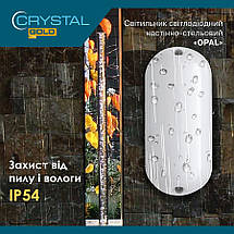 Світильник світлодіодний накладний СRYSTAL Opal 20Вт 6500K IP54 (DNL-029), фото 2
