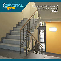 Світильник Світлодіодний Сrystal Opal 24Вт 6500K Накладний (DNL-032), фото 3