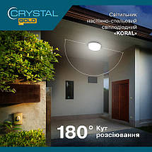 Світлодіодний круглий світильник KORAL 15Вт 6500K IP54 (DNL-030), фото 2