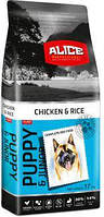 Сухой корм для собак Alice Puppy & Junior Chicken and Rice с курицей, рисом и овощами 17 кг 5997328300781