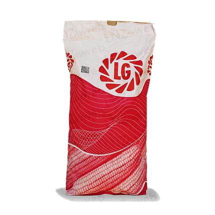Насіння кукурудзи ЛГ30352 ФАО 340 LG Seeds середньо стигла кукурудза Лімагрейн для силоса та зерна, фото 1