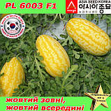 Кавун PL 6003 F1 /  Жако F1 ранній, жовтий кавун, 500 насінин ТМ Asia Seed (Південна Корея), фото 2