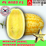 Кавун PL 6003 F1 /  Жако F1 ранній, жовтий кавун, 500 насінин ТМ Asia Seed (Південна Корея), фото 4