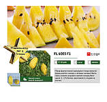 Кавун PL 6003 F1 / Жако F1 ранній, жовтий кавун, 500 насінин ТМ Asia Seed (Південна Корея), фото 5