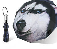 Зонтженский компактный двухсторонни черный с рисунком собаки ,автомат, 3 сложения 10 спиц с пружиной антиветр