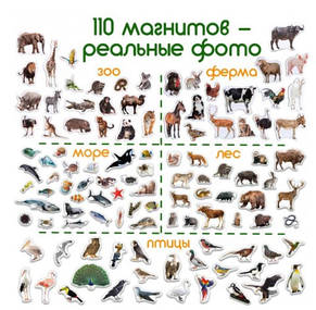 Дитячий подарунковий набір магнітів Тварини, фото 3