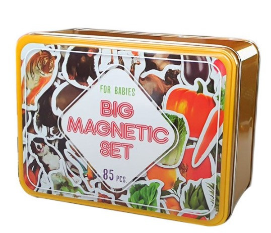 Набір магнітів для розвитку дитини