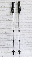 Трекинг палки для спортивной ходьбы телескопические (рукоять - пластик, Silver) палки скандинавские (GK)