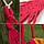Гамак мексиканський переносний для відпочинку 185х150 см, підвісний гамак тканинний садовий та для дачі, фото 2