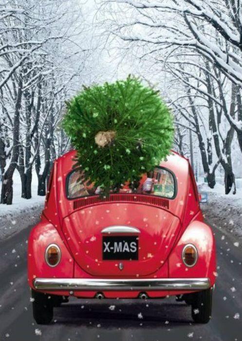 Алмазна мозаїка Свято наближається DMF-415 (30 x 40 см) на підрамнику, фото 1