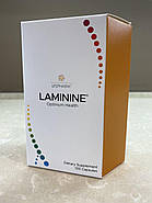 Laminine (Ламінін) 120 капсул, фото 2