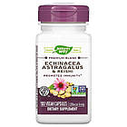 Ехінацея Астрагал та Рейші (Echinacea Astragalus Reishi)