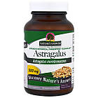 Астрагал (Astragalus) 500 мг 90 капсул